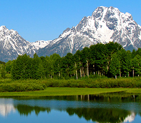 circular economy - nature - park - environment